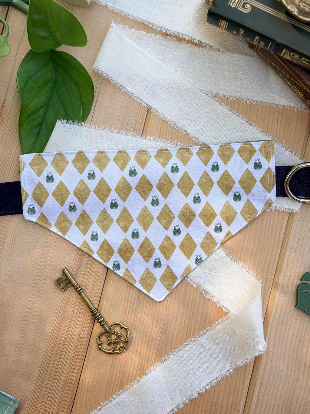 Frog Prince Reversible Pet Bandana