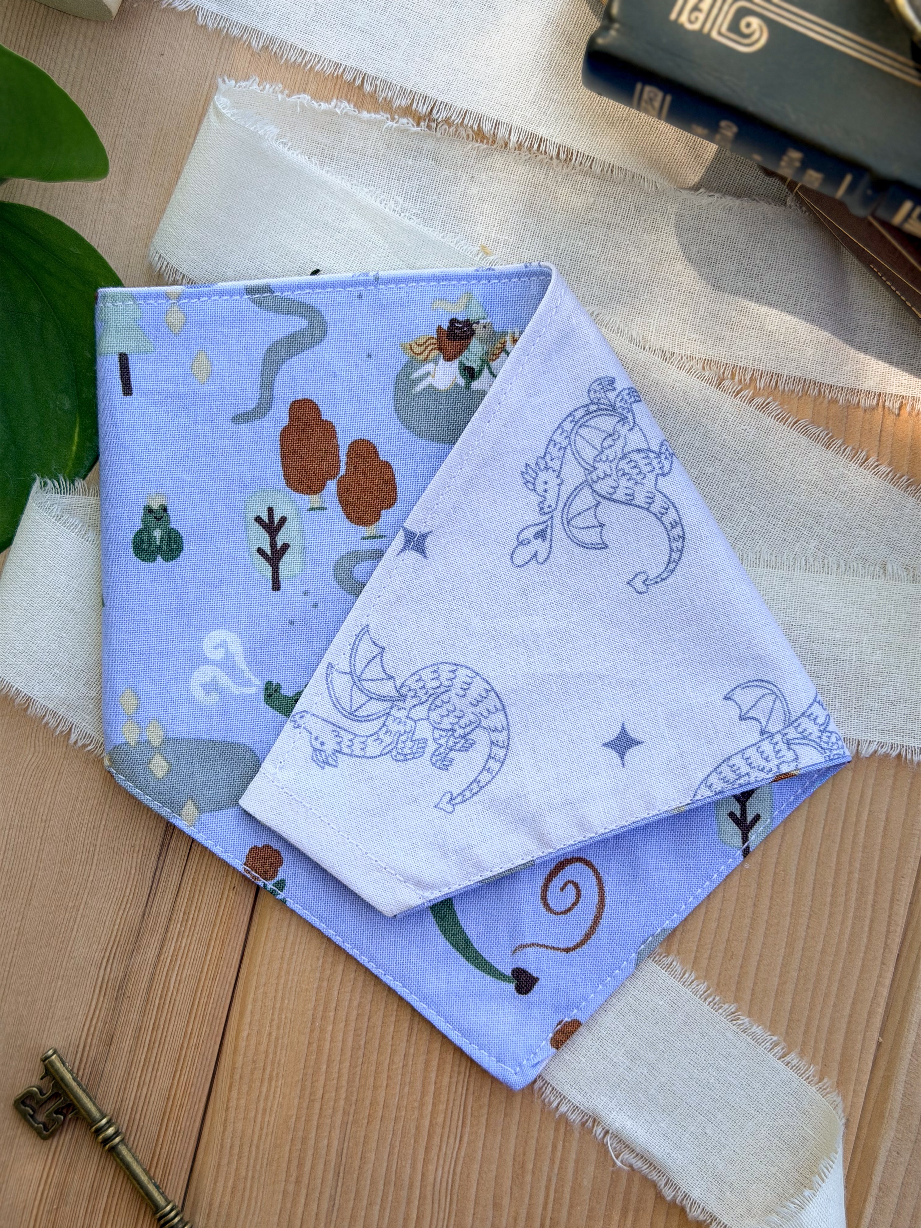 Dragon Hollow Reversible Pet Bandana